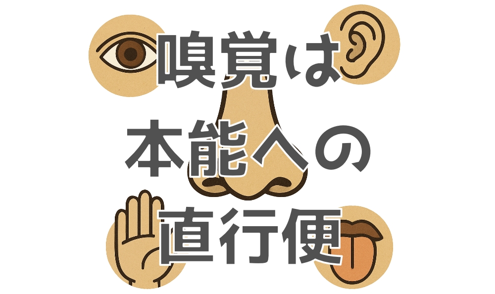 嗅覚は本能への直行便
