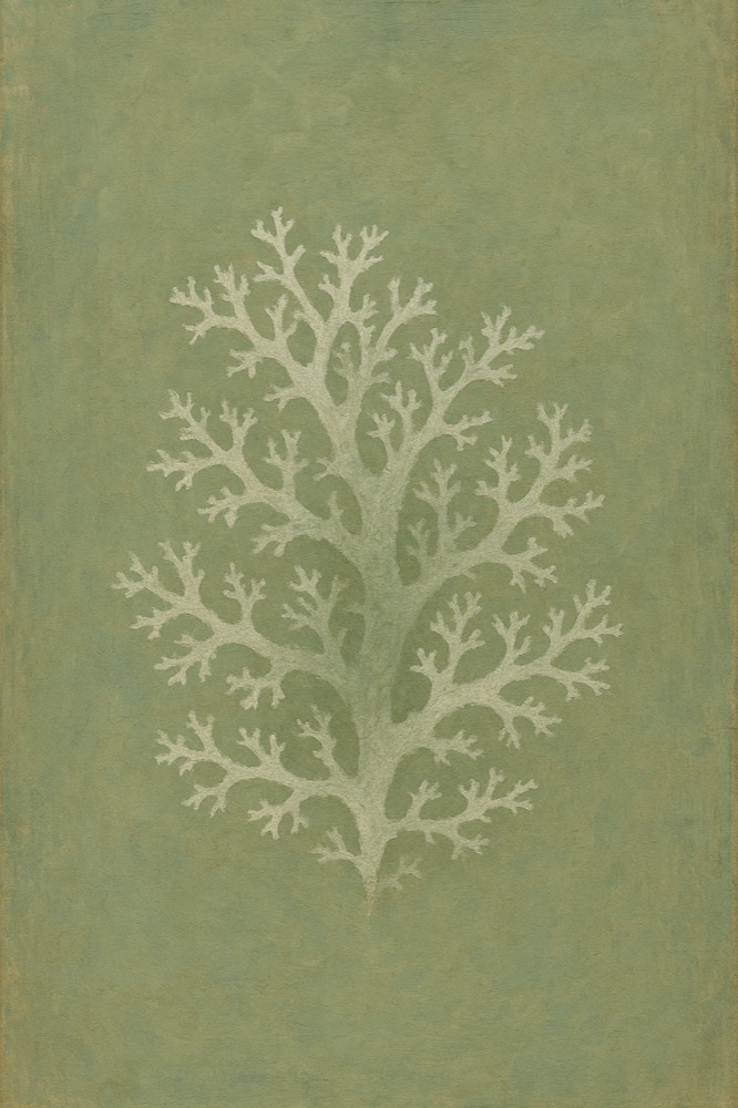 オークモスの香りのイメージ