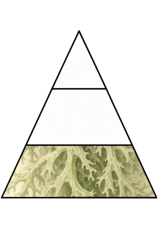 ベースノートに置かれるオークモス