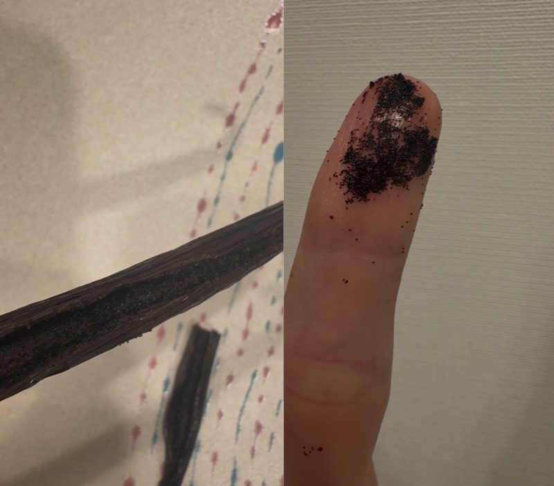 バニラビーンズから取り出したバニラの種